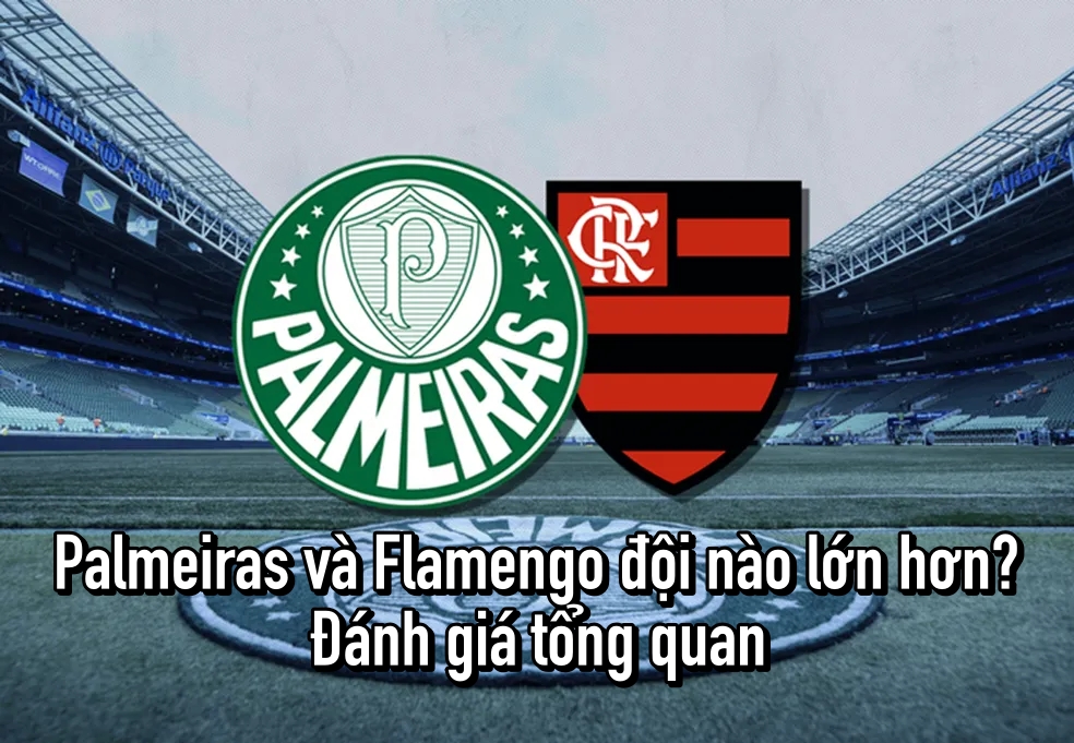 Palmeiras và Flamengo đội nào lớn hơn? Đánh giá tổng quan